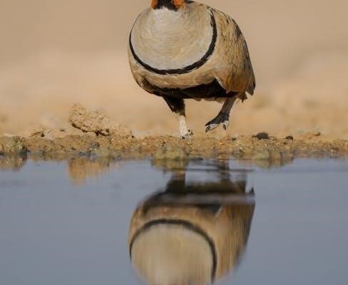 kings of israel and judah pdf