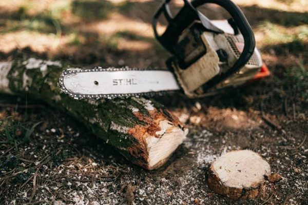 chainsaw file size guide